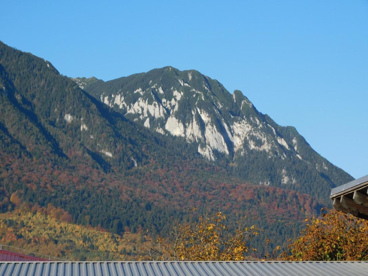 Mountain Vista Suites Zărneşti Exteriér fotografie