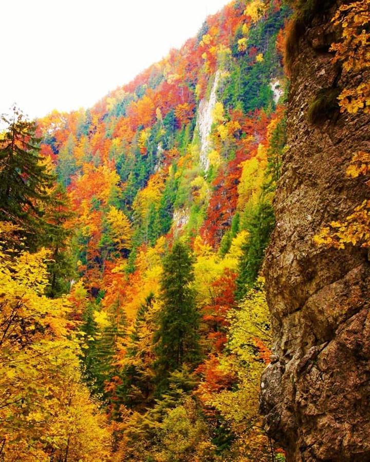 Mountain Vista Suites Zărneşti Exteriér fotografie