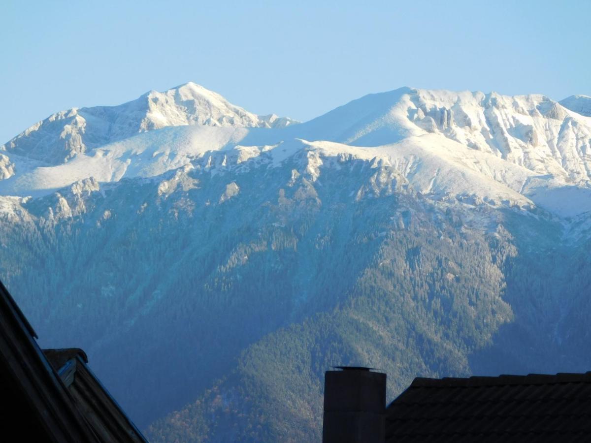Mountain Vista Suites Zărneşti Exteriér fotografie