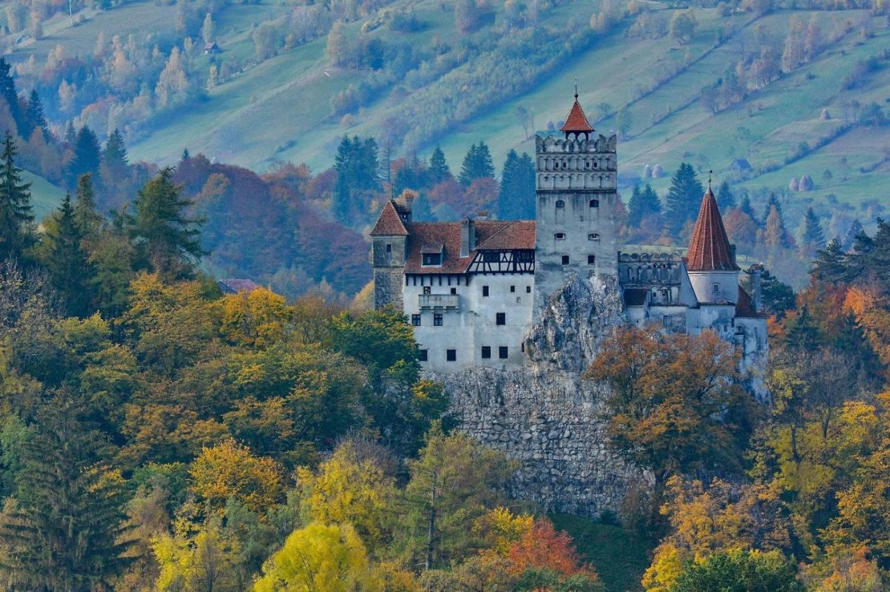 Mountain Vista Suites Zărneşti Exteriér fotografie
