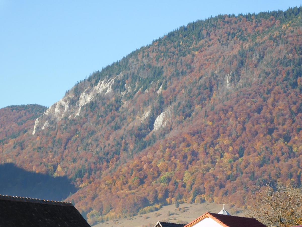 Mountain Vista Suites Zărneşti Exteriér fotografie