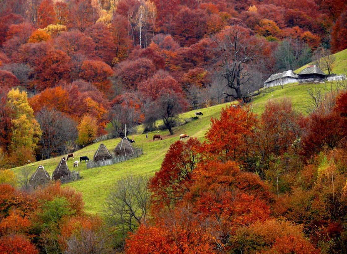 Mountain Vista Suites Zărneşti Exteriér fotografie