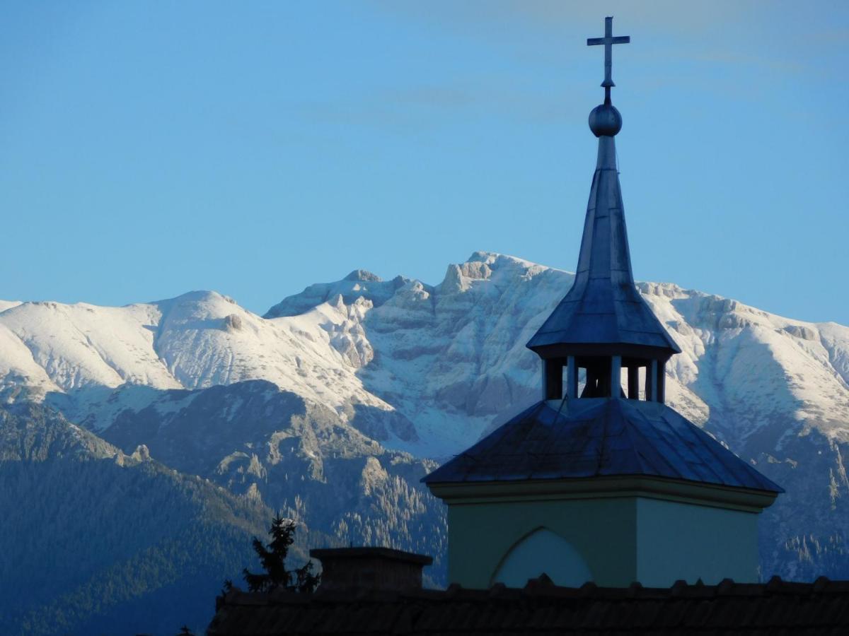 Mountain Vista Suites Zărneşti Exteriér fotografie