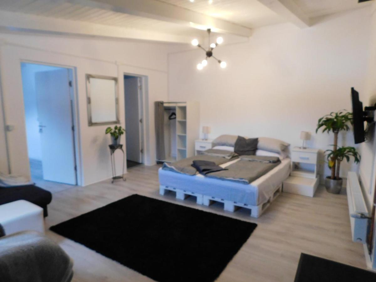 Mountain Vista Suites Zărneşti Exteriér fotografie