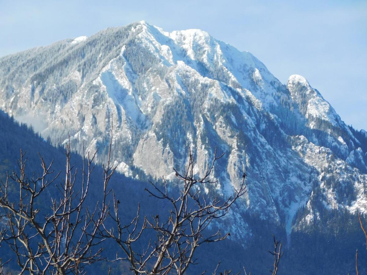 Mountain Vista Suites Zărneşti Exteriér fotografie