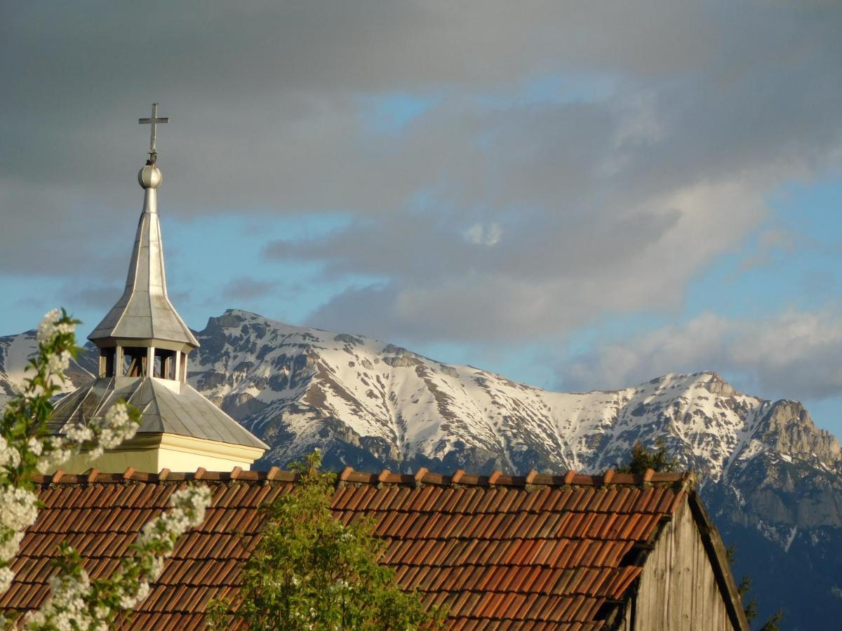 Mountain Vista Suites Zărneşti Exteriér fotografie