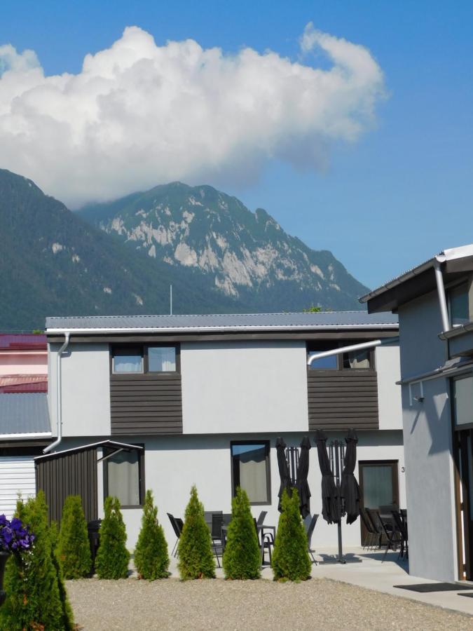 Mountain Vista Suites Zărneşti Exteriér fotografie