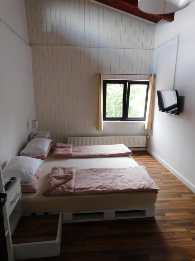 Mountain Vista Suites Zărneşti Exteriér fotografie