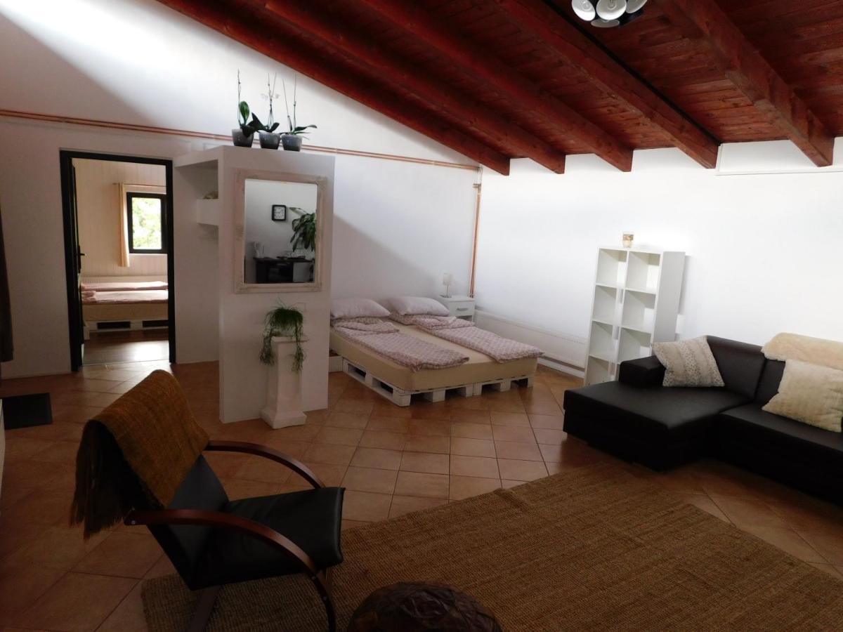 Mountain Vista Suites Zărneşti Exteriér fotografie